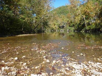 clear water and fall color on the current.jpg