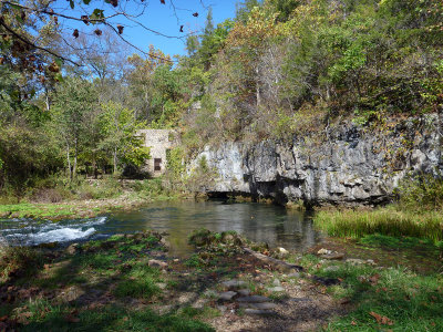 welch spring with some fall color.jpg