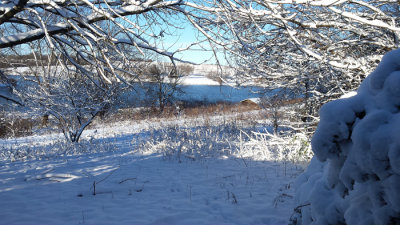 first snow winter 2015-2016.jpg