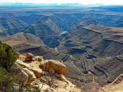 Canyons of San Juan River from Muley Point Utah 2010.jpg