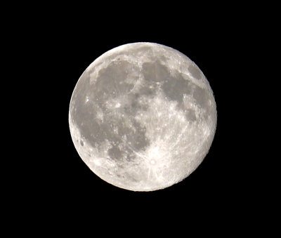 moon 6-21-2016 _MG_0271_edited-1 crop sharp levels 800px.jpg
