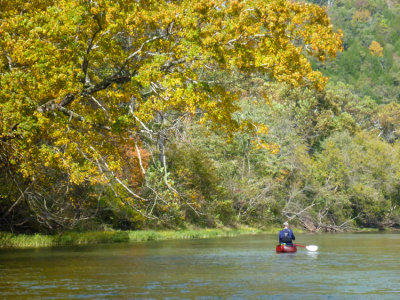 bob finally some fall color - fall 2016 vous 750pxl_P1010573.jpg