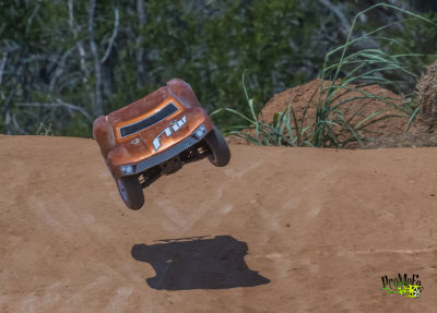 GRIZ4480.jpg