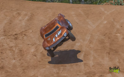 GRIZ4481.jpg