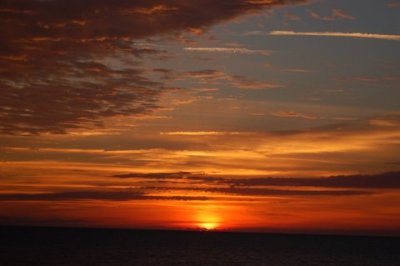 DSC_0163.jpg
