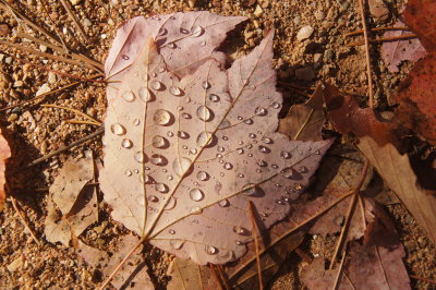 DSC00017.JPG