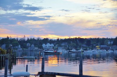 _DSC0788.JPG