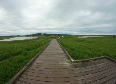 Lawrencetown Beach
