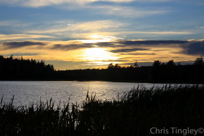 Landscapes