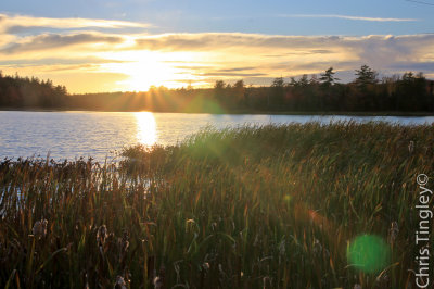 Landscapes