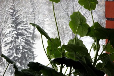 17.01.2013