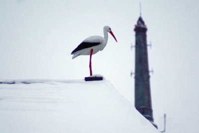 21.01.2013