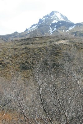 tignguhfi