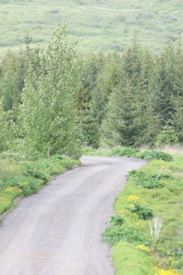 IMG_6320.JPG