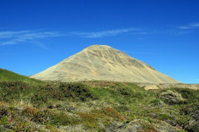 IMG_6526.JPG