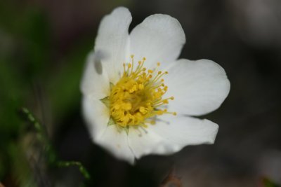 IMG_6560.JPG