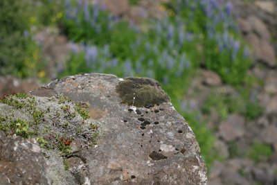 IMG_6569.JPG