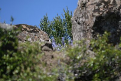 IMG_6573.JPG