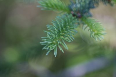 IMG_6579.JPG