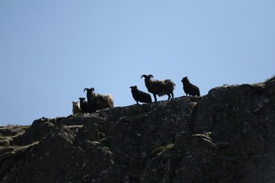 IMG_6592.JPG
