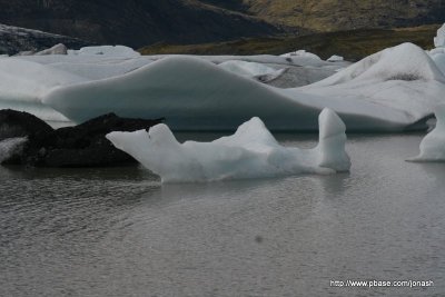 IMG_8903.JPG