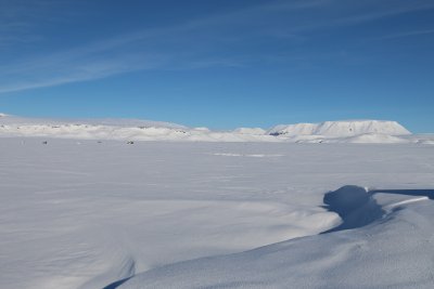 Leggjabrjtur, Hrefnub, Hrtfell