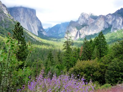 Tunnel View