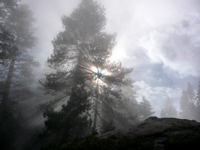 rays of light through fog