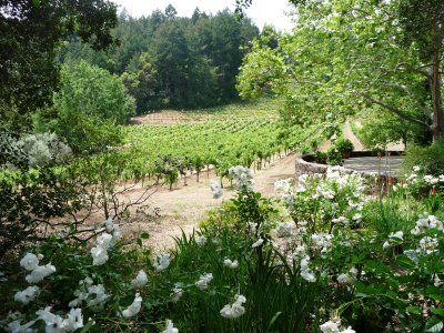 Stony Hill Vineyards
