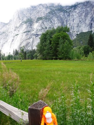 Enjoying Yosemite Valley