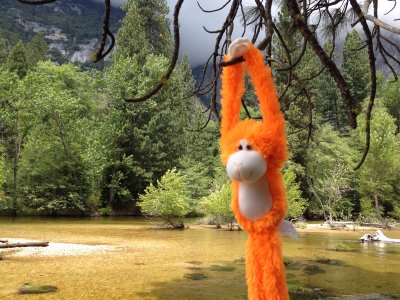 hanging around Yosemite