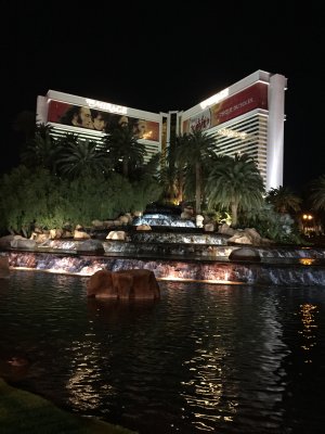IMG_0847.JPG