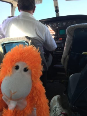 Clarence wishes he could be the co-pilot