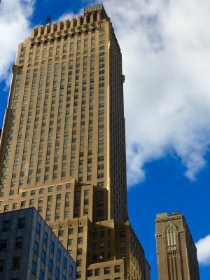 IMG_8395.jpg