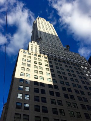 IMG_8399.jpg