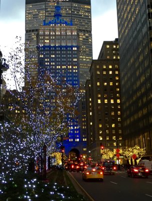 IMG_8451.jpg