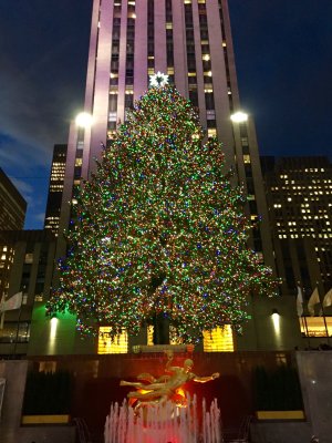 IMG_8487.jpg