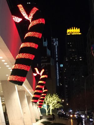 IMG_8539.jpg