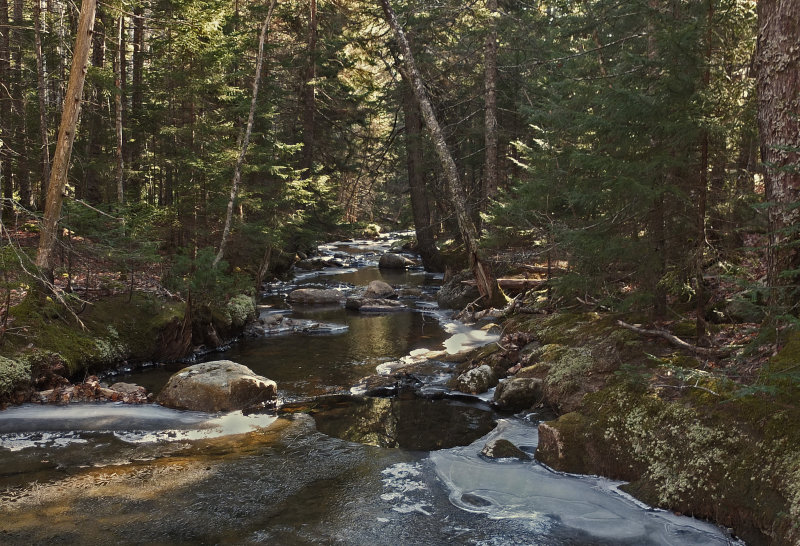 Harbor Brook b 1-17-17.jpg