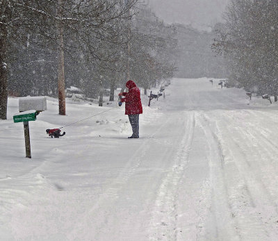 Dog Walker Neighborhood  1-16-16-pf.jpg