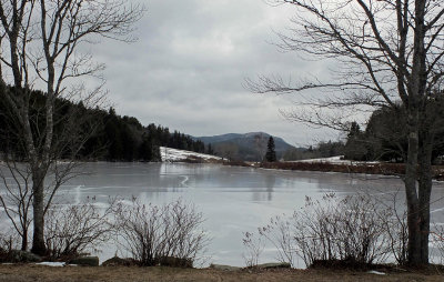 Little Long Pond  b  1-9-16-pf.jpg