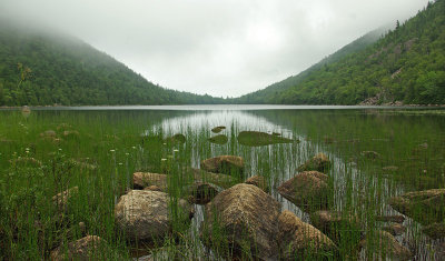 Bubble Pond  8-5-12-pf.jpg