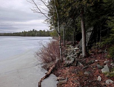 Perch Pond b -3-10-16-pf -ed.jpg