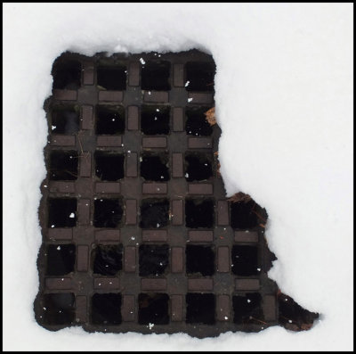 Grate Neighborhood 3-21-16-pfjpg.jpg
