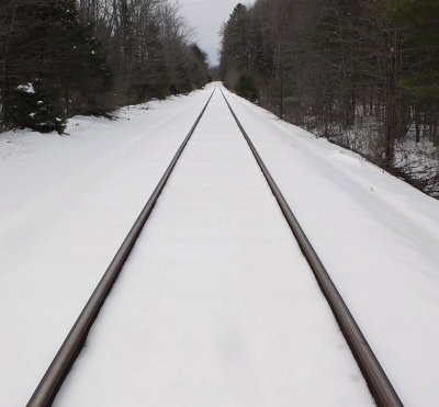 Tracks  Marsh Island 3-23-16-pf.jpg