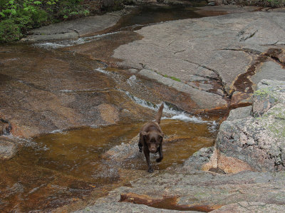 Canon Brook-Kelley Finds Water  5-9-10-pf.jpg