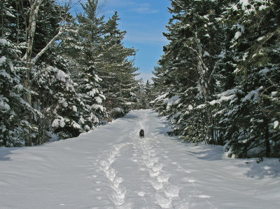 Kelley - Carriage Road c 1-26-11-pf.jpg