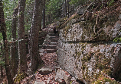 Kelley - New Trail Eliot Mt.  5-1-16=pf.jpg