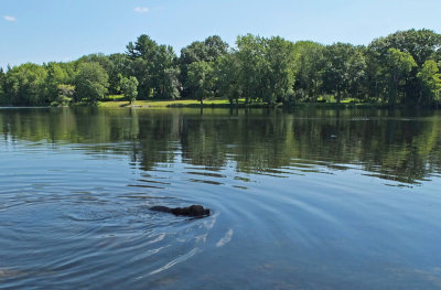 Kelley -   Stillwater River c 8-2-16-pf.jpg