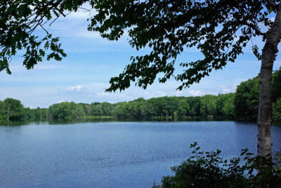 Stillwater River at DeMeritt Forest 8-1-16-pf.jpg